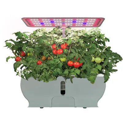 Indoor Herb Garden Kit: Hydroponic System with LED