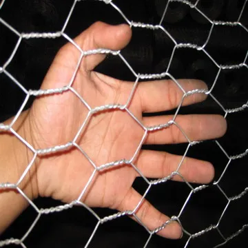 Galvanized Chicken Wire Mesh
