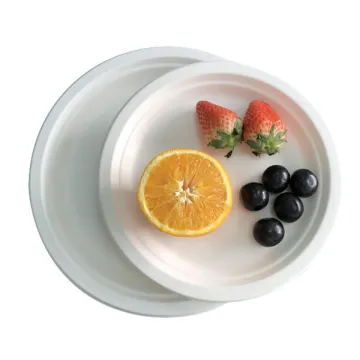 Biodegradable Disposable Sugarcane Bagasse Pizza Plate