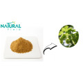 Plant Hops Extract Flavonoids 5% powder