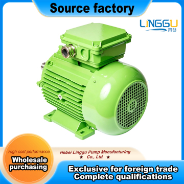 Energy Efficient Induction Motor for Pump Drives