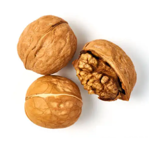 Wholesale Large Low Price Raw Walnuts and Organic Walnut Kernels from Xinjiang