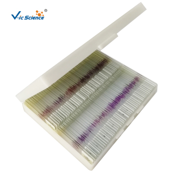 Educational Prepared Slides Human Pathology