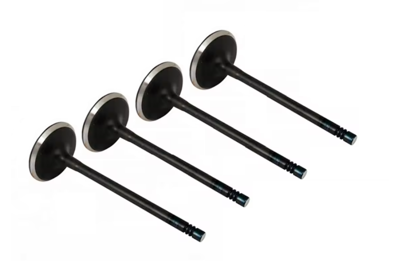 Durable Intake Valves for Industrial