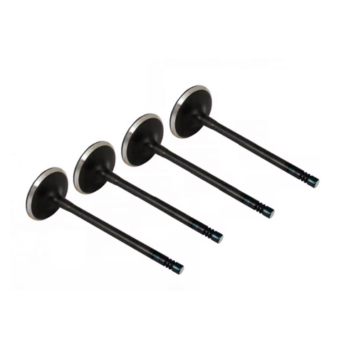 Durable Intake Valves for Industrial