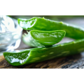Natural Skin Care Ingredients Aloe Extract 18%Aloin Aloe Powder Aloe Vera L.