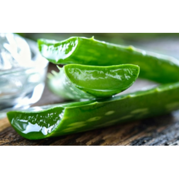 Natural Skin Care Ingredients Aloe Extract 18%Aloin Aloe Powder Aloe Vera L.
