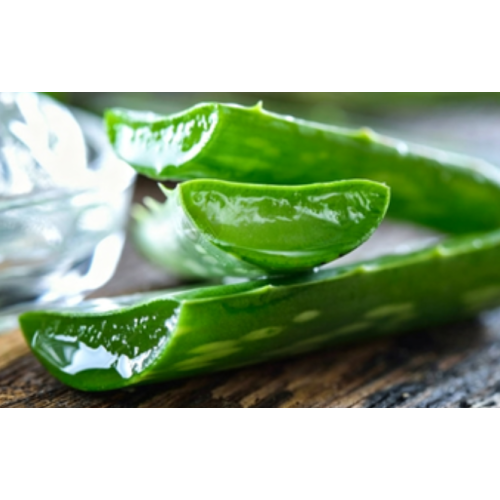 Natural Skin Care Ingredients Aloe Extract 18%Aloin Aloe Powder Aloe Vera L.