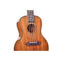 Solid top wood concert tenor size ukulele