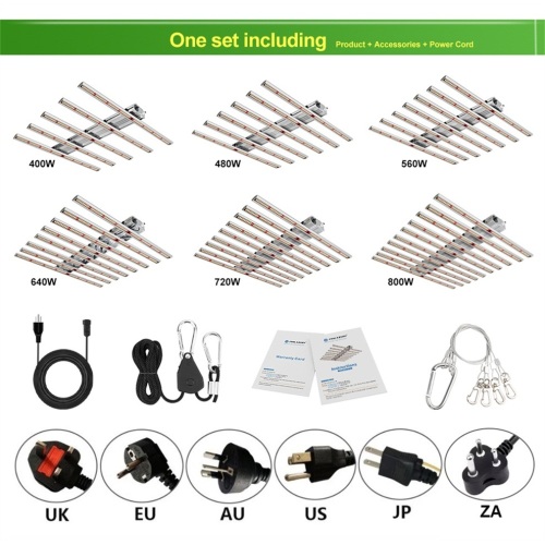 Buena disipación de calor 600W Grow Light Hydroponic