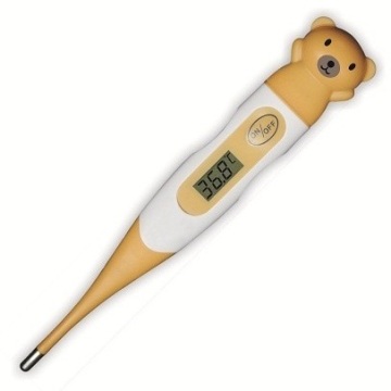 Carton Digital Thermometer