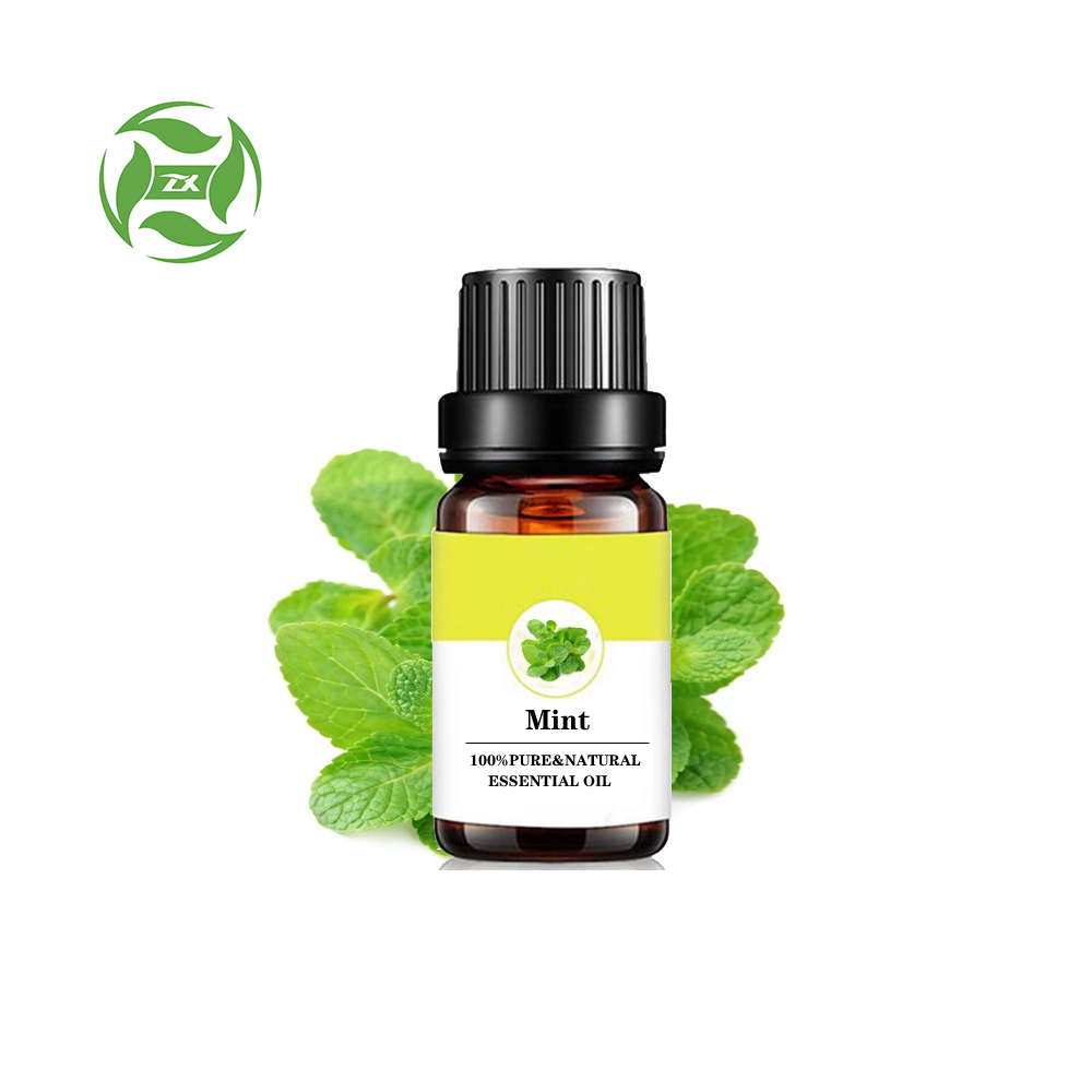 Factory supply 100% Pure Mint Essential Oil