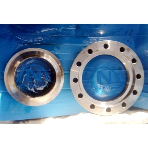 Ansi B16.5 Stainless Steel Swivel Ring Flange - Yaang