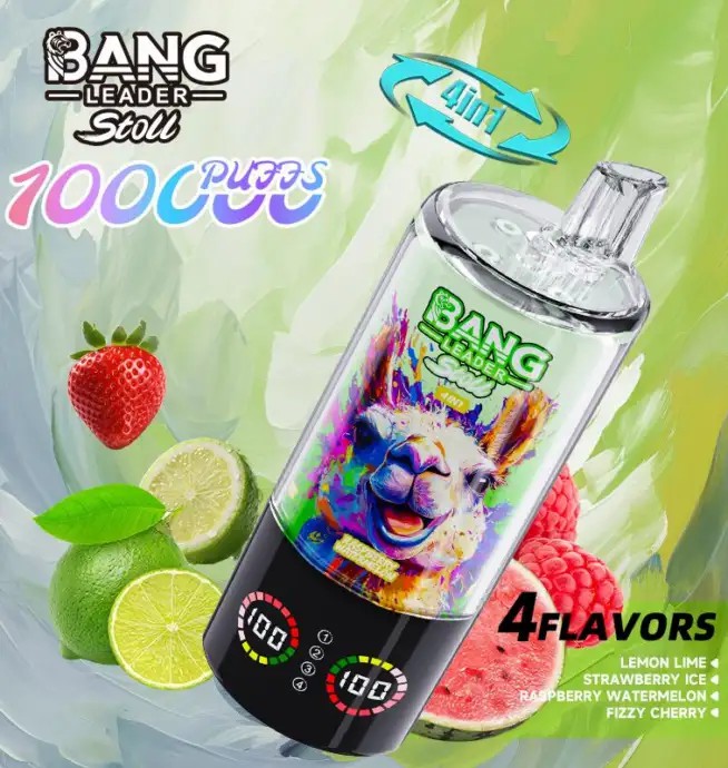 24hvape-bang-leader-stoll-100k-100000-puffs-lemon-lime-strawberry-ice-raspberry-watermelon-fizzy-cherry-654x690.jpg