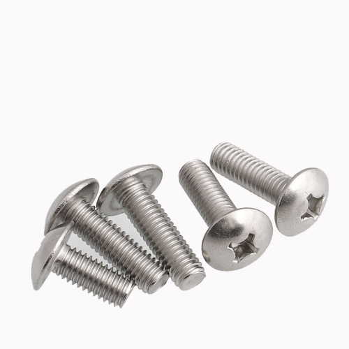 Stainless Steel Cross Recessed Mushroom Head Screws