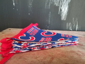 Event and Backstroke Bunting Pennant Party Flags