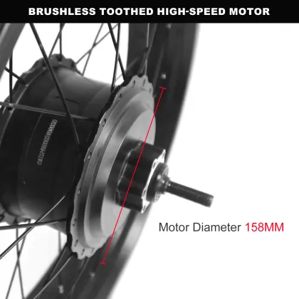 Electric Bike Snow Conversion Kit