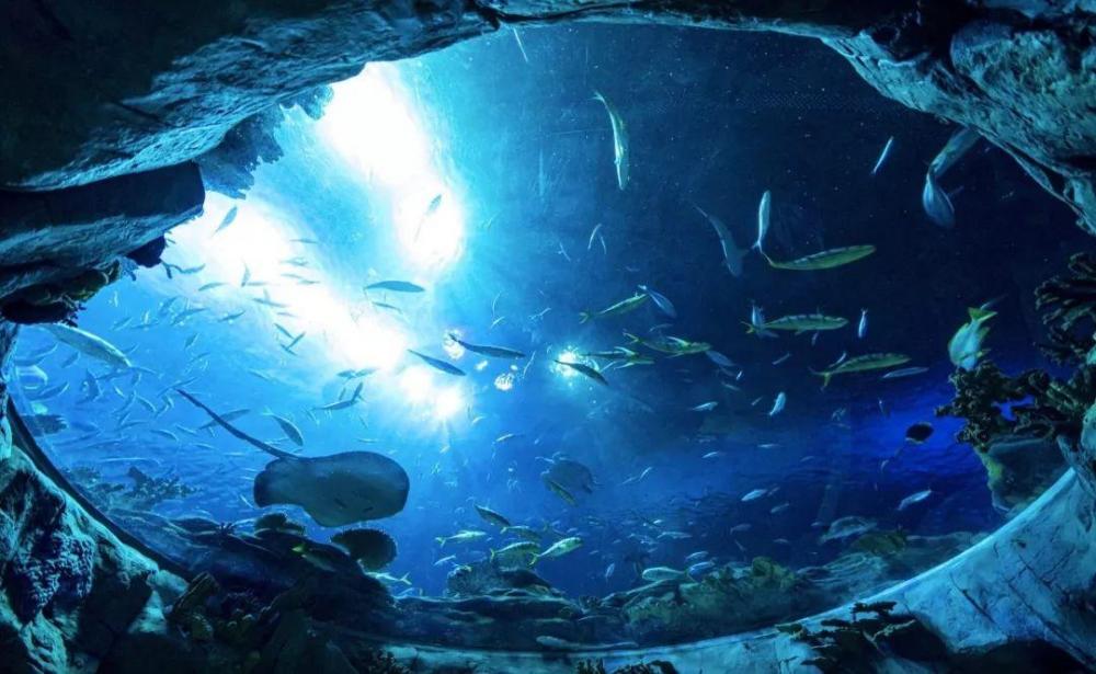 تحت الماء أحواض الأسماك الزجاجية الأكريليك