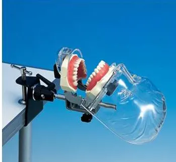 medical training manikin type I dental simulation