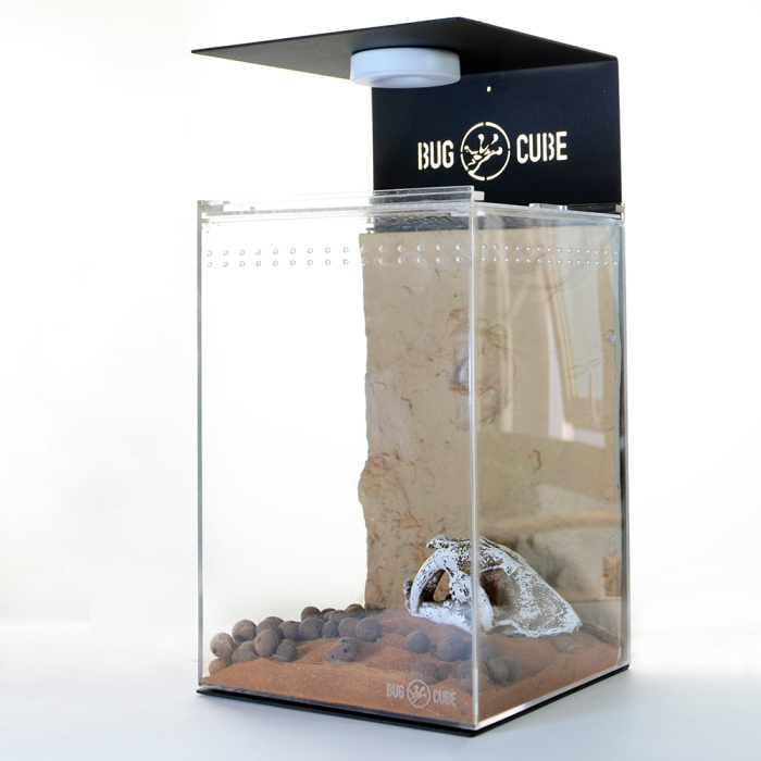 Caixa de acrílico de transmissão alta de tamanho personalizável para lagarto