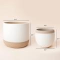 Beige Ceramic Flower Containers