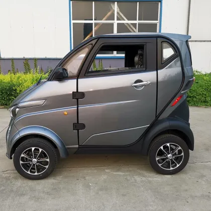 Sightseeing Electric Vehicles Without Driving License