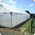 Single+Span+Plastic+Film+Greenhouse+For+Plant