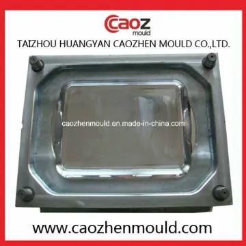Injection Rectangular/Plastic Fruit Plate Mould in China