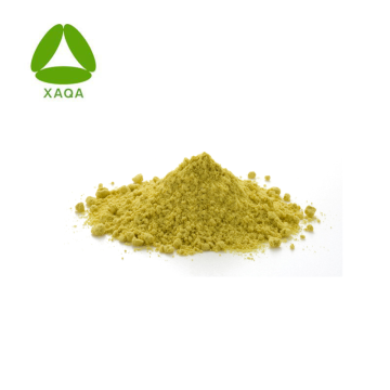 Organische 5% Bacoside Bacopa Monnieri Pulverextrakt