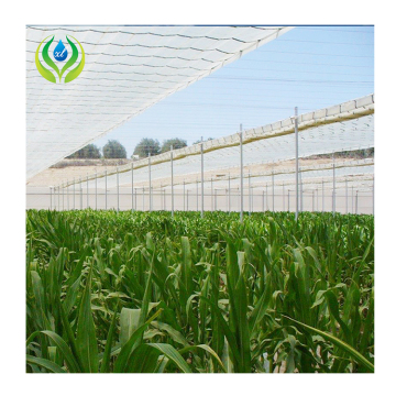 HDPE Plastic Cover Retractable Greenhouse for Tree Nursery