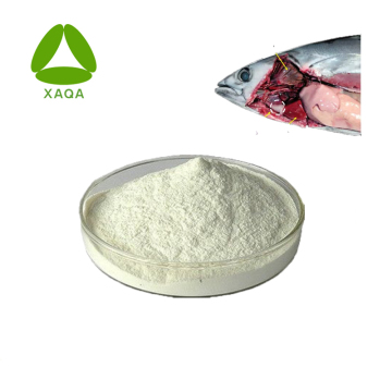 Food Grade Hydrolyzed Animal Protein Bonito Elastin Powder