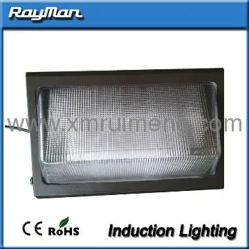 Energy-saving 200w high power flood induction lamp fitting Lvd Lamps