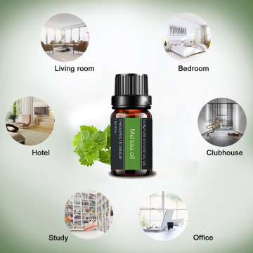 Pure Oganic Melissa Essential Oil For Aromatherapy Diffuser