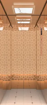 Beautiful Low Price Small Shaft Villa Elevator