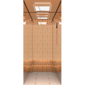 Beautiful Low Price Small Shaft Villa Elevator