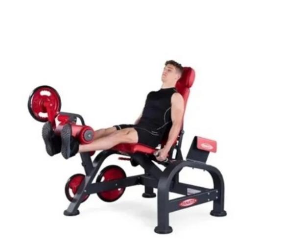 Professional Seated Leg Extension Machine