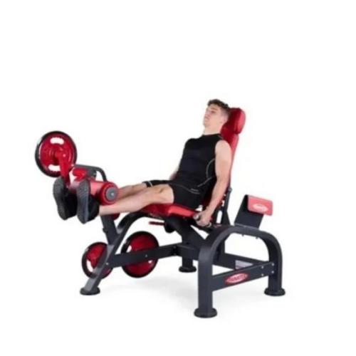 Professional Seated Leg Extension Machine