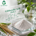 Ingrediente promotor del crecimiento vegetal del ácido giberélico GA3