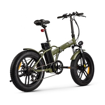 350W 48V Electric Folding Bike with Lithium Battery: EN15194 Certified Fat Tire Electric Bicycle