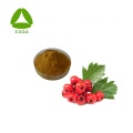 Hawthorn Berry Extract 50% Flavone Powder