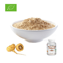 Buy Online Active Ingredients Maca Extract Powder