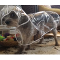 Pet Dog Raincoat Waterproof