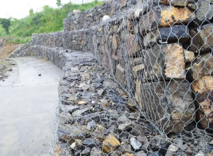 galvanized hexagonal wire,hexagonal wire mesh