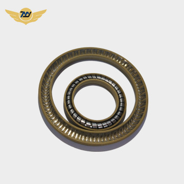 Spring energized ptfe Shaft seal