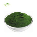 Best Chlorella Powder for Health and Wellness