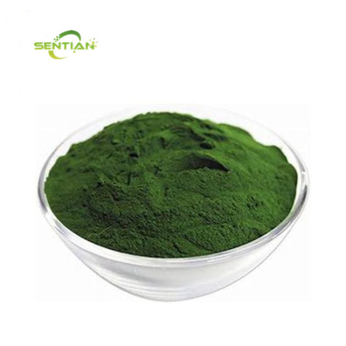 Best Chlorella Powder for Health and Wellness