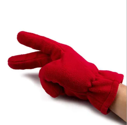 Thinsulate Fleece Outdoor Gloves