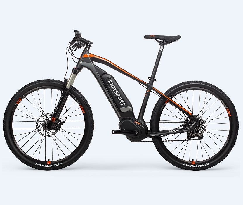 Mountain Cheap Fast Electric Bike