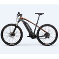 Mountain Bike elettrico veloce a buon mercato