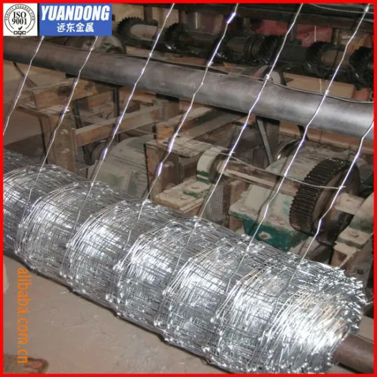 Hot-dipped galvanized grassland mesh(professional producer)